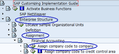 How to Assign Company Code