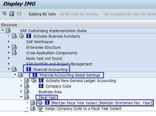 Create Fiscal Year Variant in sap