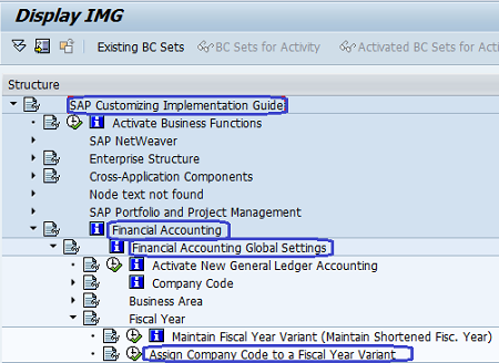 How to Assign Company Code to Fiscal Year Variant