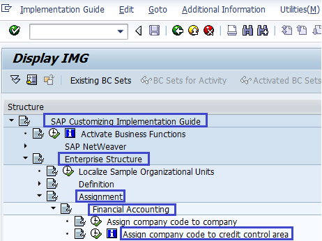 Assign Company Code to Credit Control Area in SAP