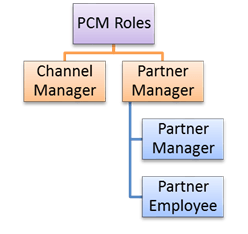 Why to use partner channel management in SAP CRM