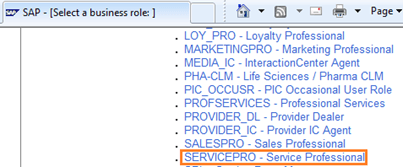 SAP CRM Service