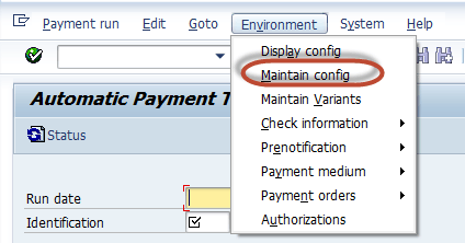 All About Automatic Payment Run