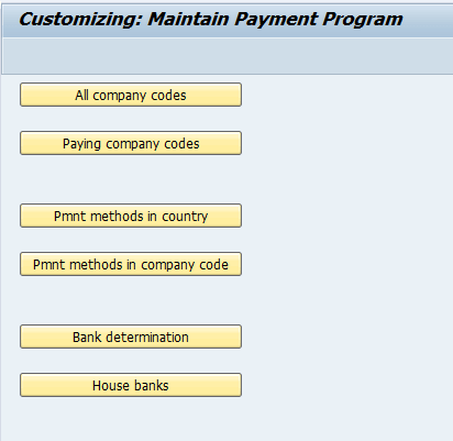 All About Automatic Payment Run