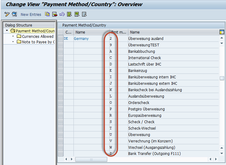 All About Automatic Payment Run