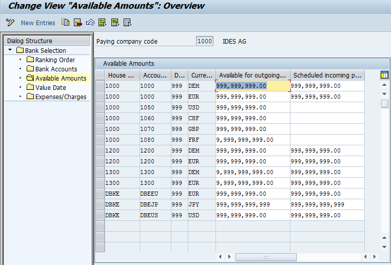 All About Automatic Payment Run