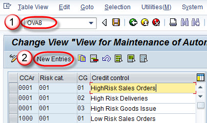 Guide to Credit Management in SAP
