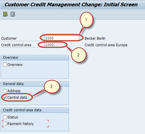 How Credit Control in SAP minimizes credit risk