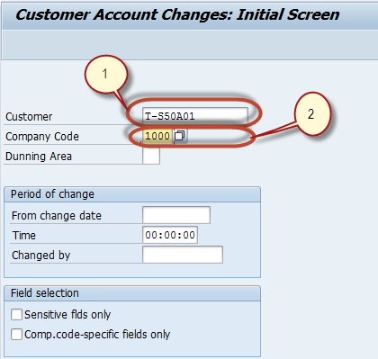 How to Display Changes in Customer Master
