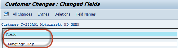 How to Display Changes in Customer Master