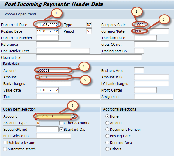 How to post Customer Incoming Payments
