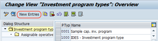 Create Investment Program Types in SAP