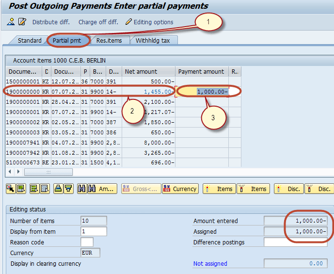 How to Post Outgoing Partial Payments By Partial Payment Method