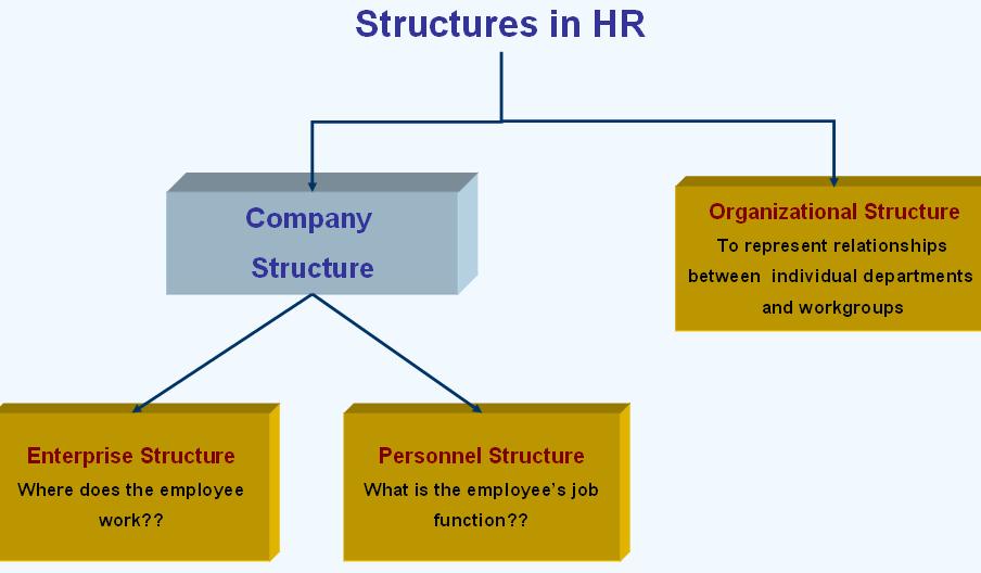 What is structures in SAP? Different types of structures