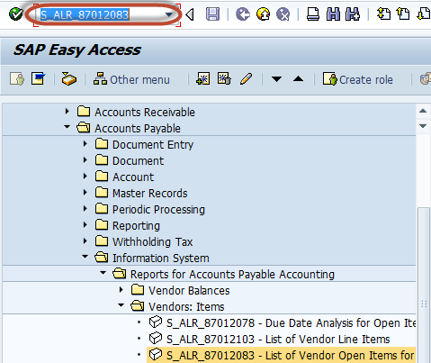 Important Reports in SAP FI