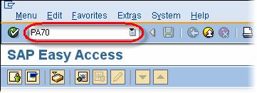 SAP Fast Entry Tutorial
