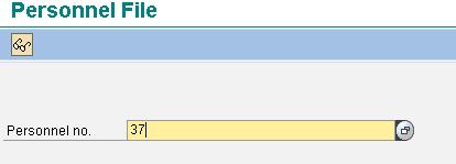 How to view all Infotypes Saved for an Employee