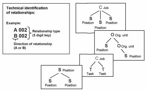 How SAP HR organization works as a single unit