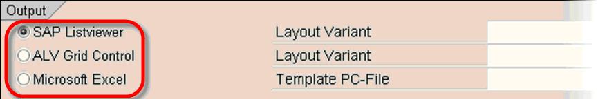 What is Wage Type Reporter