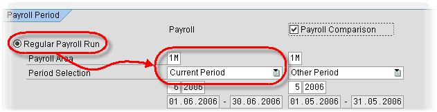 What is Wage Type Reporter