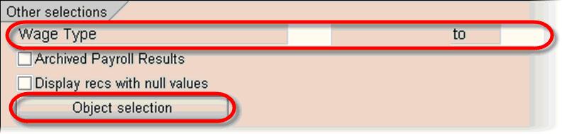 What is Wage Type Reporter