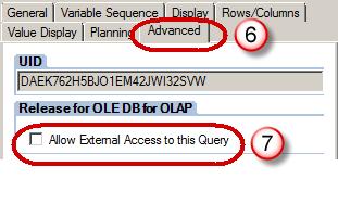 Introduction To BEX Query Designer and Query Elements