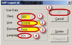 Introduction To BEX Query Designer and Query Elements
