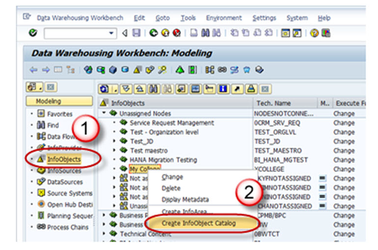 How To Create an InfoObject Catalog