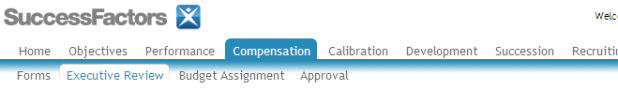 Executive Review in Success Factors Compensation