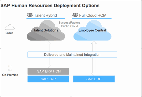 Success Factor - Operations Manual (part 1)