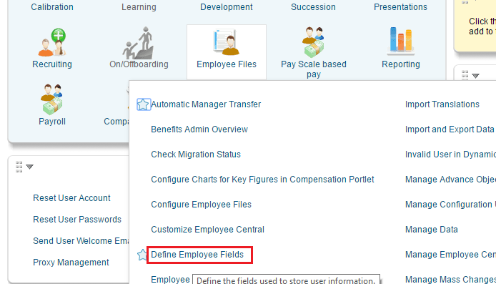 SAP Successfactors: Adding custom fields, field types & picklist values