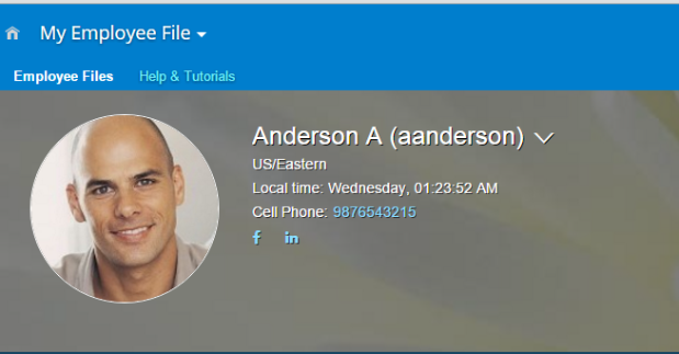 SuccessFactors(SFSF) Extension with HANA Cloud Platform - Mobile Services