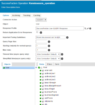 Hana Cloud Integration in comparison to Dell’s Boomi.