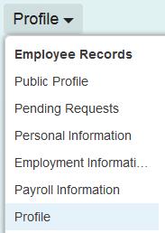 Configuring SuccessFactors Employee Central Job Info into Employee Profile