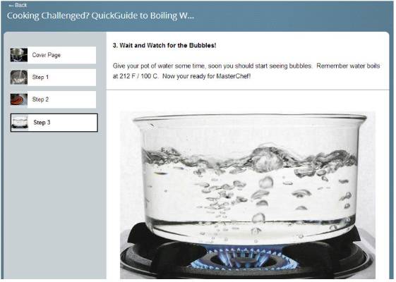 The New QuickGuides in SuccessFactors Learning