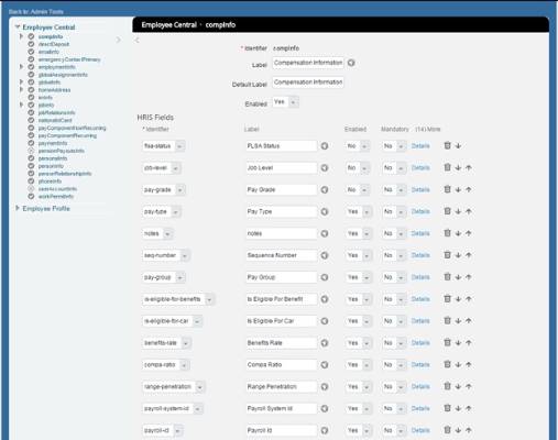 Success Factors - Employee Central : Interesting limitations on Business Configuration UI