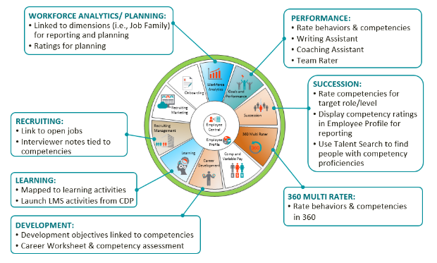 SAP SuccessFactors Platform Components - Part 2: Using Competencies in the HCM Suite