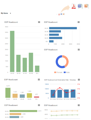 SuccessFactors Q4 2013 Release: Reporting and Analytics
