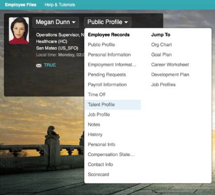 Create SAP Mobility Custom App easily for SuccessFactors - Part 1