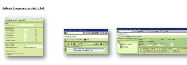 Pilot Test of the Integration add-on for SAP ERP HCM & SuccessFactors BizX