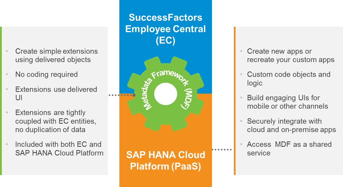 SAP HANA, SAP MM, SAP PP, SAP HR