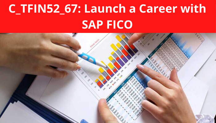 SAP FICO, SAP FICO Career, SAP FICO CONSULTANT, SAP Financial accounting