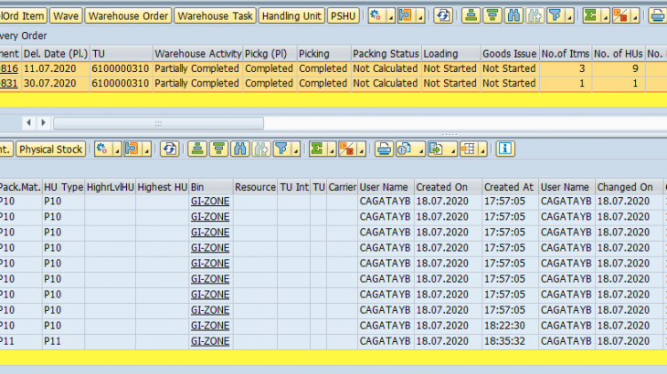 SAP Transportation Management, SAP EWM