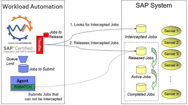 SAP HANA, SAP ERP, SAP S/4HANA