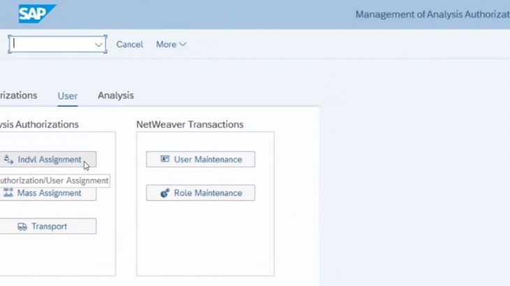 BW (SAP Business Warehouse)