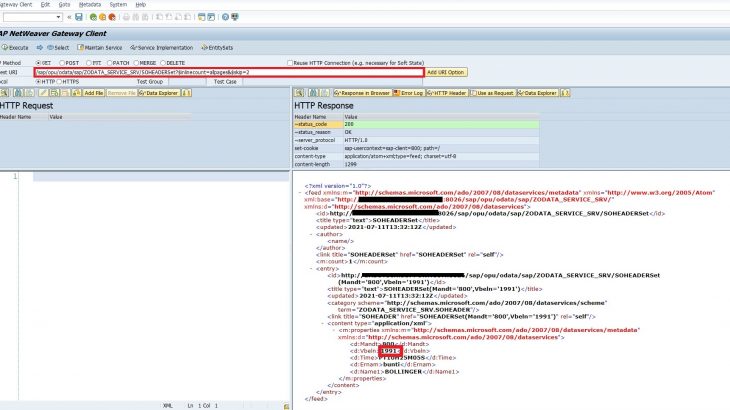 ABAP Environment, SAP ABAP