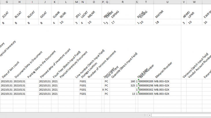 MM (Materials Management)