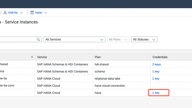 SAP HANA Cloud