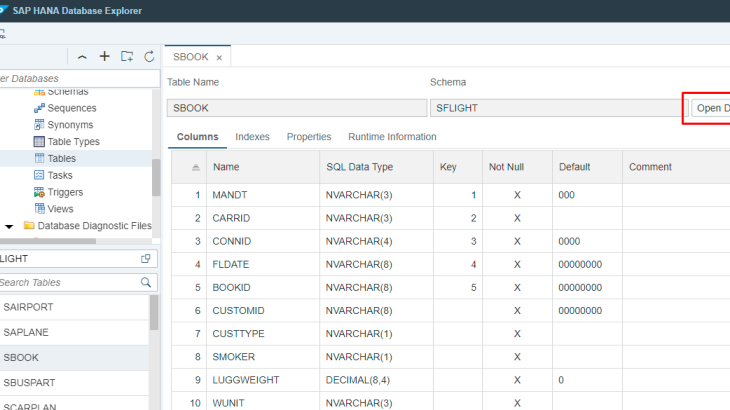 SAP HANA, ABAP Development