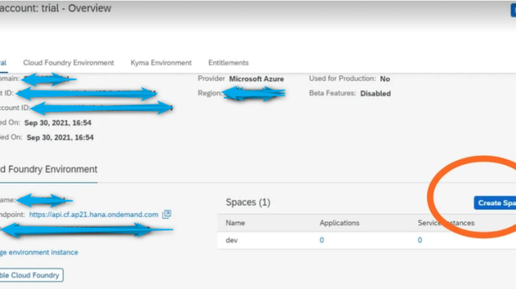 SAP HANA